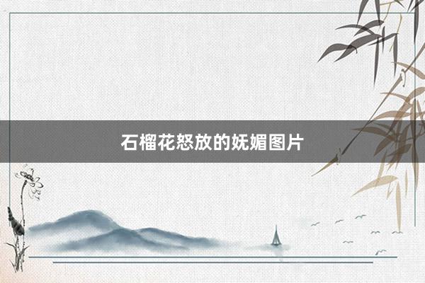 石榴花怒放的妩媚图片