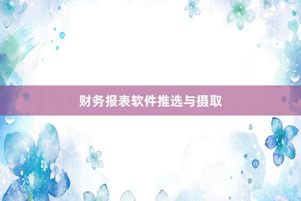 财务报表软件推选与摄取